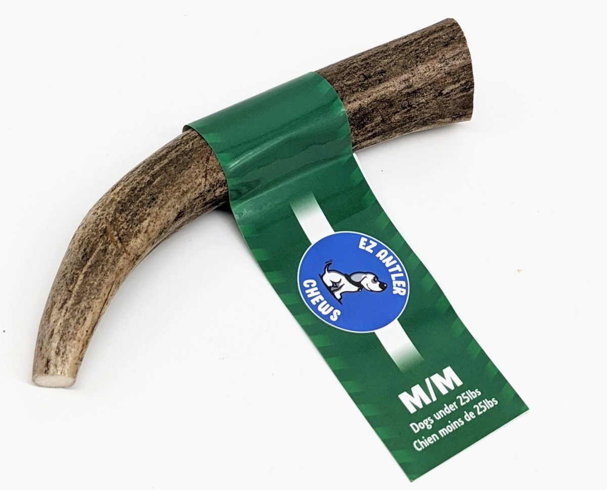 Antler dog chews deals wholesale